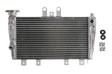 Cumpara ieftin Radiator pentru TRIUMPH SPEED TRIPLE 1050 2005-2010