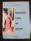 Ion Beldeanu - Bucovina care ne doare (ediție selectivă)