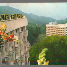 CPIB 17229 CARTE POSTALA - SOVATA, HOTEL ALUNIS