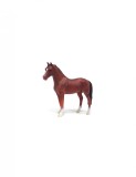 Armasar de Hanovra castaniu, Collecta