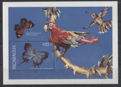 NICARAGUA 1999 FAUNA INSECTE FLUTURI foto