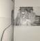 Foto  - 2