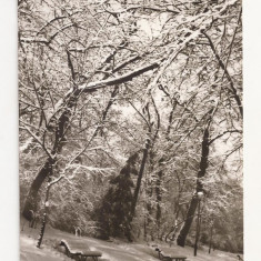 F1 - Carte Postala - Bucuresti, iarna in parcul Cismigiu, circulata 1967