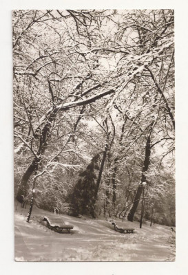 F1 - Carte Postala - Bucuresti, iarna in parcul Cismigiu, circulata 1967 foto