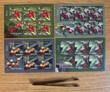 Fructe de padure, minicoala de 5 timbre si 1 vinieta 2017 LP 2162b, Nestampilat