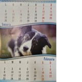 Calendar de perete A3, Catei, 6 file, 2026
