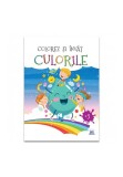 Colorez si invat culorile, Didactica Publishing House