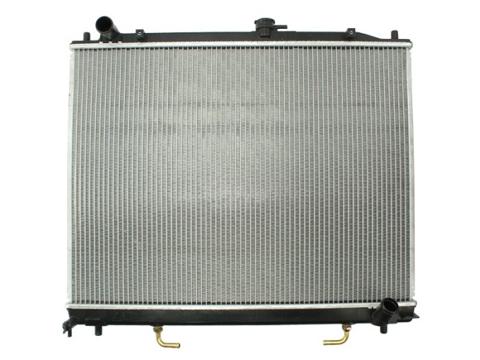 Radiator, racire motor MITSUBISHI PAJERO III (V7_W, V6_W) (1999 - 2007) THERMOTEC D75012TT