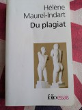 H&eacute;l&egrave;ne Maurel-Indart, Du plagiat