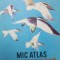 Mic atlas ornitologic- Dimitrie Radu