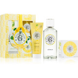 Cumpara ieftin Roger &amp; Gallet Summer Set C&eacute;drat set cadou pentru femei