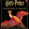 Harry Potter: A History of Magic