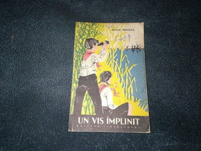 OLIVIU NEGOITA - UN VIS IMPLINIT foto