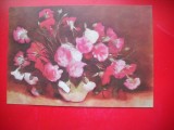 HOPCT 14915 GAROAFE -- STEFAN LUCHIAN [ 1868- 1916 ] -- CP PICTURA - -NECIRCULATA