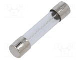 Siguranta fuzibila lenta, 16A, tensiune 32/250V AC, 6,3x32mm, OPTIFUSE - TSA-16A