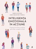 Inteligenta emotionala in actiune | Marcia Hughes, James Bradford Terrell