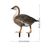 Decoratiune de gradina, flippy, model gasca salbatica, fata-verso, 27 x 30 cm, maro