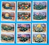 TIMBRE ROM&Acirc;NIA LP1433/1997 -CACTUȘI- Serie &icirc;n pereche -MNH