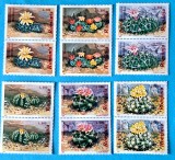 TIMBRE ROM&Acirc;NIA LP1433/1997 -CACTUȘI- Serie &icirc;n pereche -MNH, Nestampilat