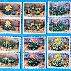 TIMBRE ROMÂNIA LP1433/1997 -CACTUȘI- Serie în pereche -MNH