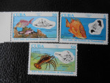 Cuba -Fauna marina -serie completa -nestampilate, Nestampilat