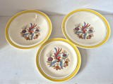 Lot 3 farfurii vintage Faimar Baia Mare, model folcloric cu pasăre și flori, RSR