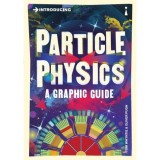 Introducing Particle Physics: A Graphic Guide