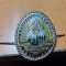 AMS# - INSIGNA DE CASCHETA CUC RSR, email la cald