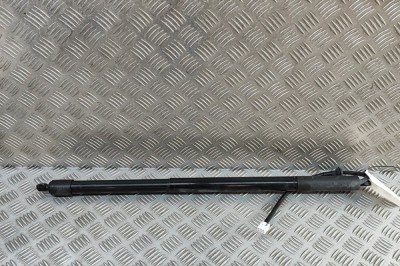 Amortizor haion dreapta LEXUS RX _LA1_, _LH1_ 2023 OEM: 68910-48180 30909092 foto