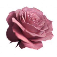 Sticker decorativ, Trandafir, Roz, 60 cm, 10669ST