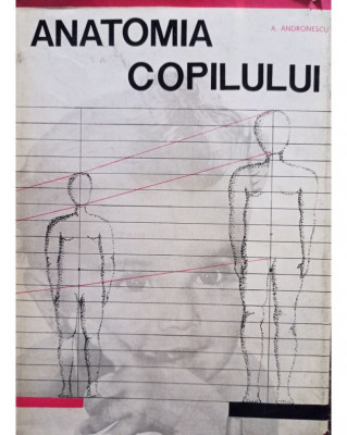 A. Andronescu - Anatomia copilului (1966) foto