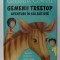 GEMENII TREETOP , AVENTURI IN SALBATICIE , GEMENII INTALNESC O ZEBRA CVAGA de CRESSIDA COWELL , 2020