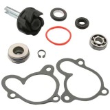 Cumpara ieftin Kit reparatie pompa apa scuter MALAGUTI Madison 250 300