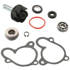 Kit reparatie pompa apa atv BUYANG 275 300