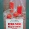 FENG SHUI MAGIA LUMINII-SHAWNW MITCHELL STEPHANIE GUNNING