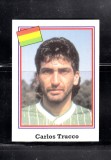 B10 - Sticker fotbal - Campionatul mondial USA - 1994 - nr 167