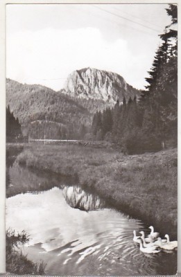 bnk cp Lacul Rosu - Vedere spre Suhard - uzata foto