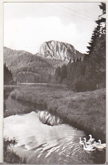bnk cp Lacul Rosu - Vedere spre Suhard - uzata