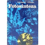 FOTOSINTEZA-N. SALAGEANU, L. ATANASIU-267490