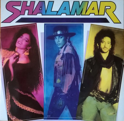 Vinil Shalamar &amp;lrm;&amp;ndash; Circumstantial Evidence NOU (M) foto