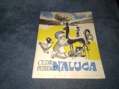 CEZAR PETRESCU - NALUCA foto