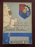 Cumpara ieftin File de monografie - județul Vaslui - 1973 - conține 3 hărți