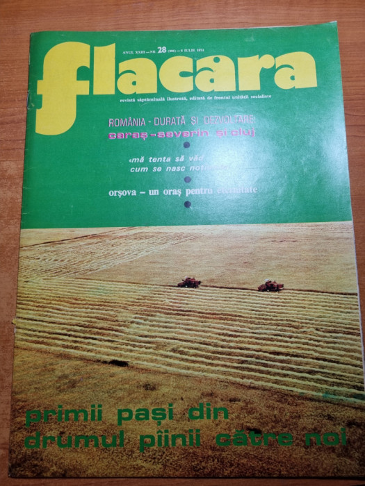 flacara 6 iulie 1974-art balas,caras-severin,cluj,orsova,a. nedel,ilie nastase