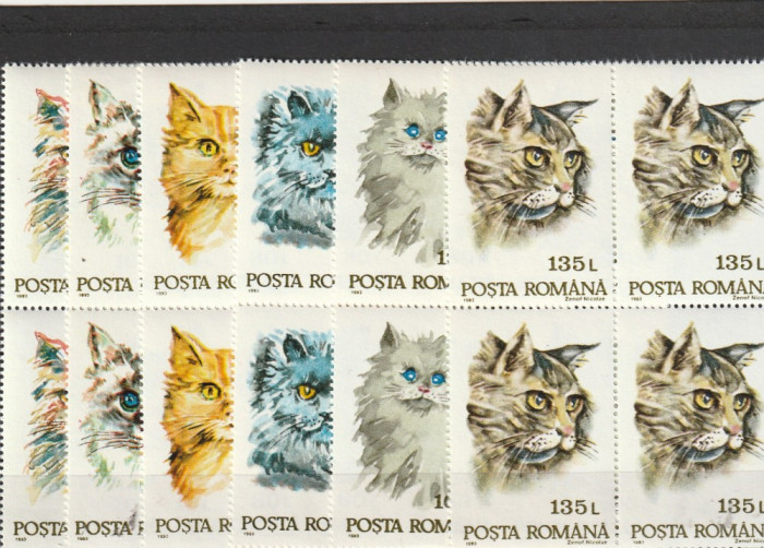 Romania ,pisici de rasa , bloc de 4 ,numar lista 1315.