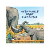 Aventurile unui elefantel - Sa cunoastem lumea inconjuratoare!