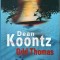 Dean Koontz - Odd Thomas