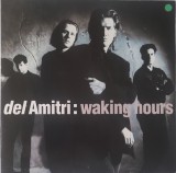 Del Amitri &ndash; Waking Hours, LP, Europe, 1990, stare excelenta(VG+)
