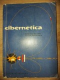 Cibernetica- Edmond Nicolau