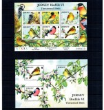 Jersey 2012 - Păsări, colita si bloc neuzat