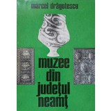 MUZEE DIN JUDETUL NEAMT-MARCEL DRAGOTESCU-222374